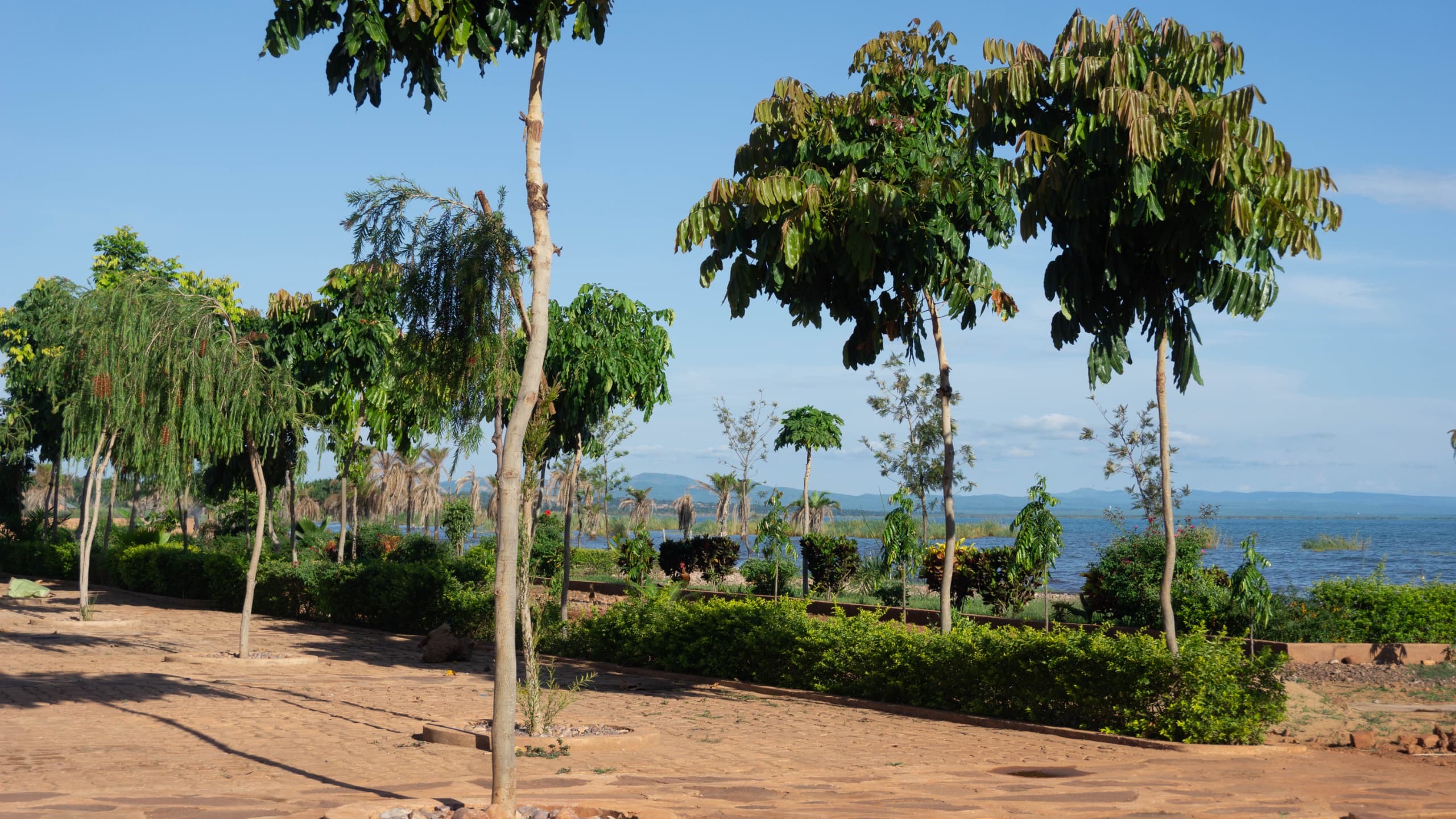 KIGOMA/8